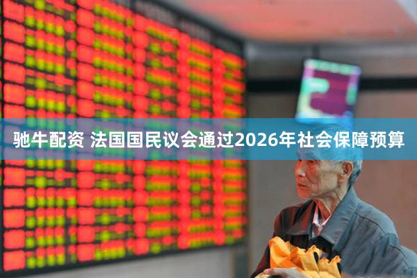 驰牛配资 法国国民议会通过2026年社会保障预算
